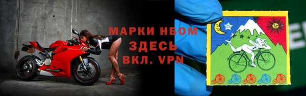 прущие грибы Белоозёрский