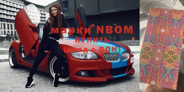 прущие грибы Белоозёрский